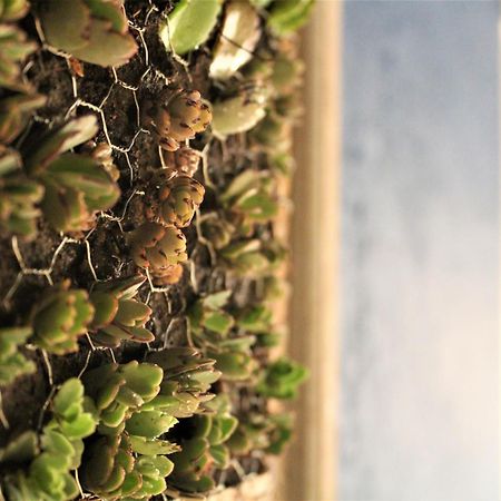 Pousada Habitat Marinho Imbituba  Esterno foto